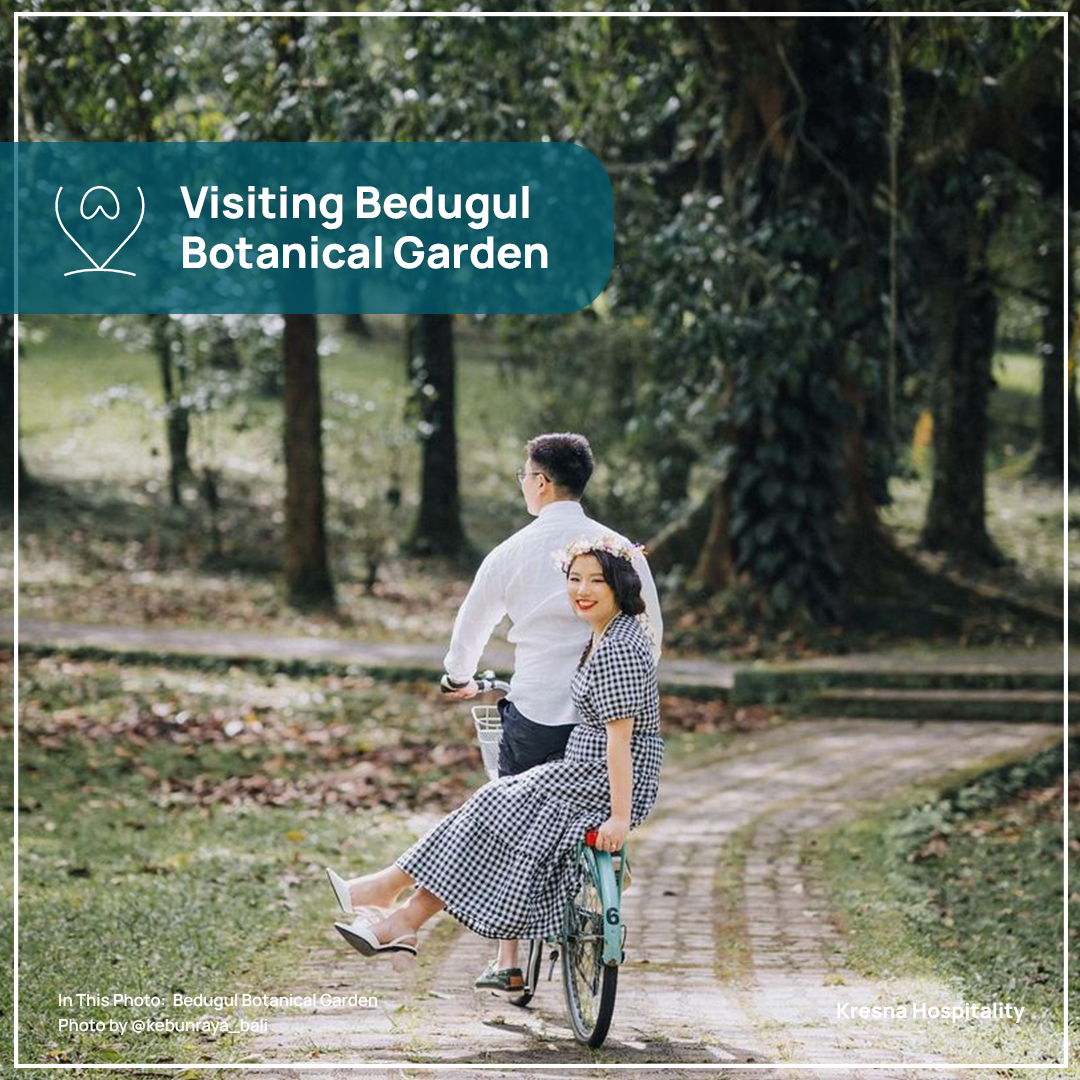 Visiting Bedugul Botanical Garden: An Educational and Recreational Destination