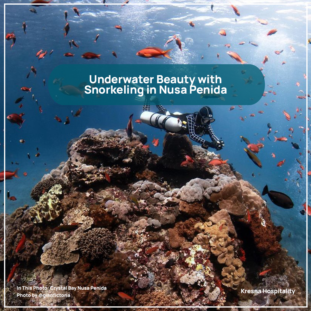 Enjoying the Underwater Beauty with Snorkeling in Nusa Penida