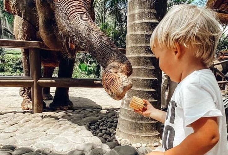 Family-Friendly Attractions and Activities in Seminyak